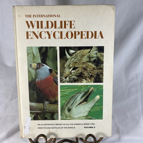 The international wildlife