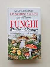 Funghi italia e - funghi, d'italia