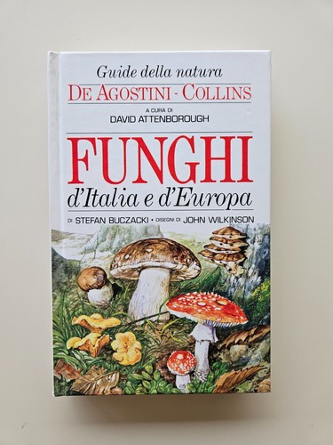 Funghi italia e - d'italia,
