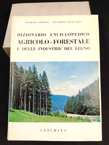Dizionario enciclopedico - dizionario,