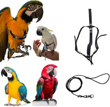 PETTORINA REGOLABILE per PAPPAGALLI MISURA ARA O CACATUA Elastico 10 Mm 2 Attacc