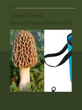 VERO Morel Mushroom Kit