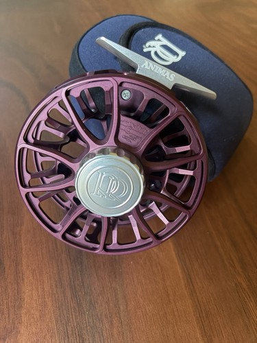 Bellissimo nuovo - 🔥, -nuovo-