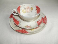 Tazza da collezione in porcellana molto decorativa - Bavaria / Baviera