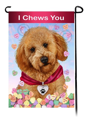 Labradoodle taglio - labradoodle, (taglio