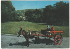 NERVI - GENOA - THE PARK -