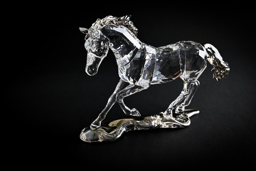 Swarovski scs edizione annuale - swarovski,