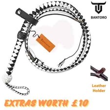 Frusta intreccio 12 trecce in