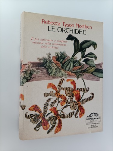 Orchidee rebecca tyson - rebecca,