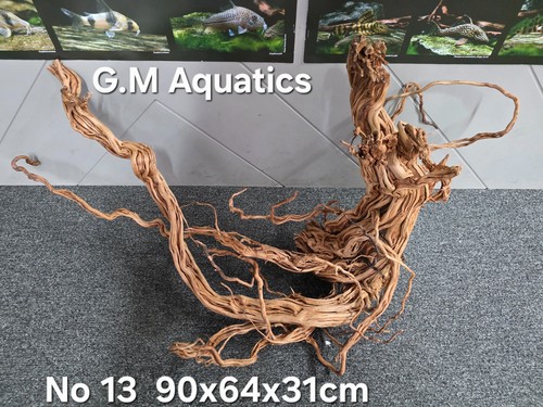 Legno per acquario azalea - , a
