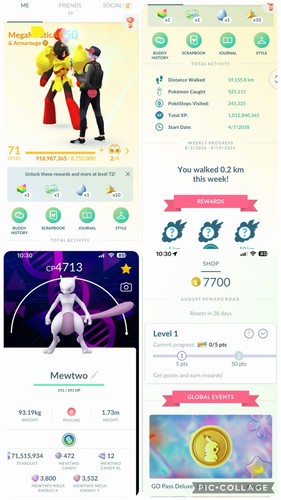 Pokémon lvl milioni - 71✨71,