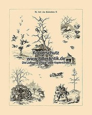 La capanna dei corvi II