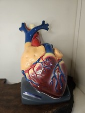 Sargent Welch 95155 Grande