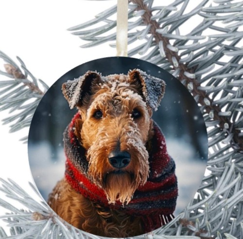 Fox terrier cane - fox, da