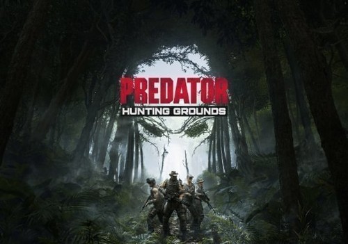 Predator hunting grounds - hunting, |