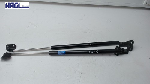 Ammortizzatore pressione gas