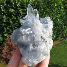 Minerali *** CELESTINA AZZURRA