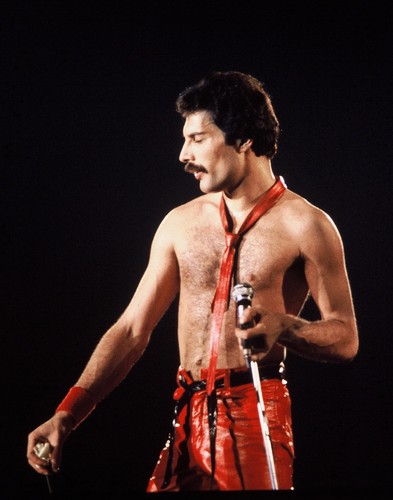Queen freddie mercury 14 - mercury, x