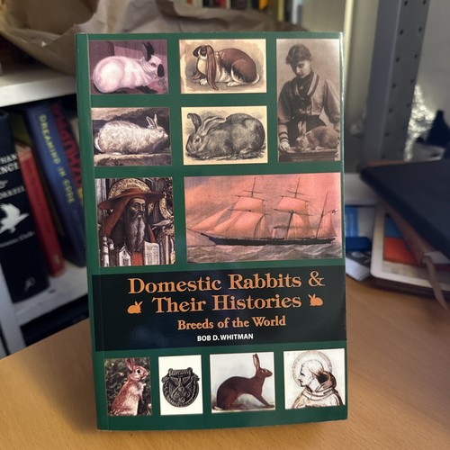 Domestic rabbits their - domestic, &