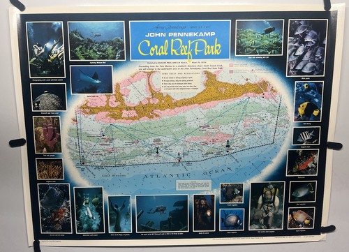 Poster john pennekamp coral - poster,