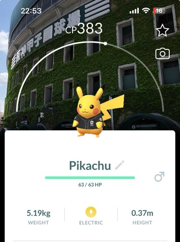 Pikachu hanshin tigri - hanshin,