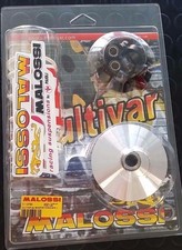 Variatore Malossi multivar