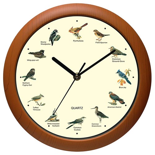 Orologio parete uccellino - orologio,