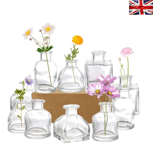 Set vasi decorativi versatili