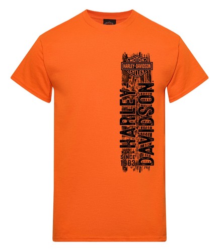 Shirt harley davidson - t-shirt, harley-davidson