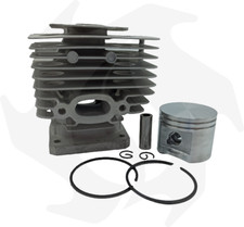 CILINDRO E PISTONE STIHL FR