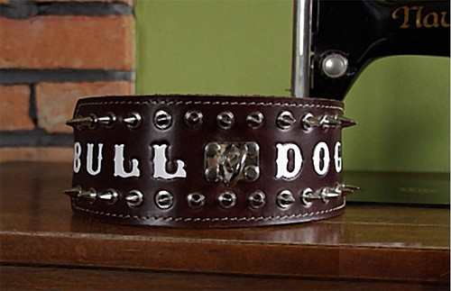American bulldog inglese oeb - bulldog,