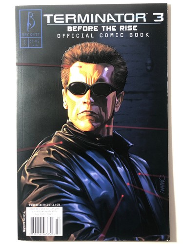 Terminator before the rise - 3,