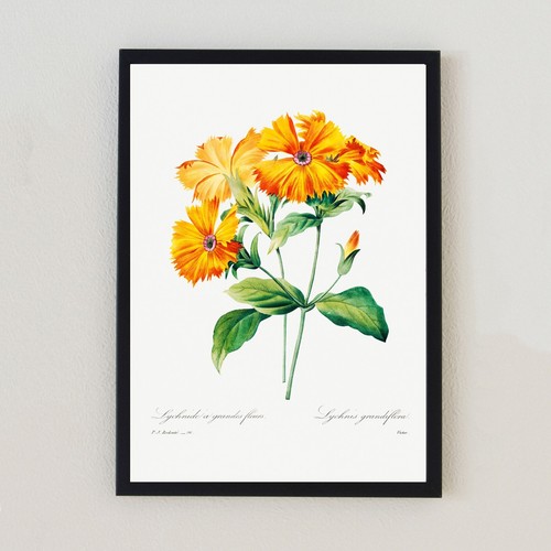 Illustrazione floreale vintage