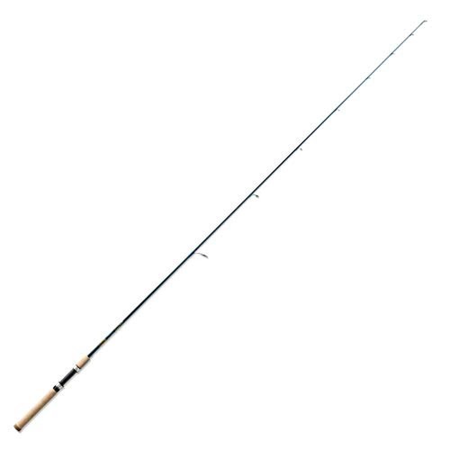 Medium light fast 2 - (tg., medium-light/fast
