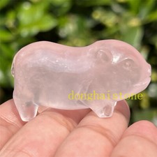 2" TOP Quarzo Rosa Naturale Teschio di Maiale Cristallo di Quarzo Teschio Reiki Guarigione 1PZ