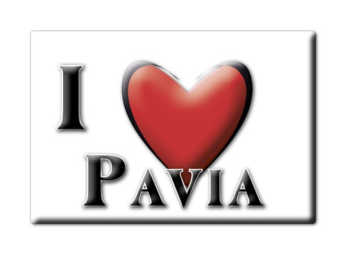 Calamita pavia - calamita, (pv)