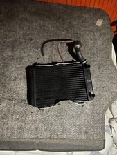 radiatore malossi per piaggio zip