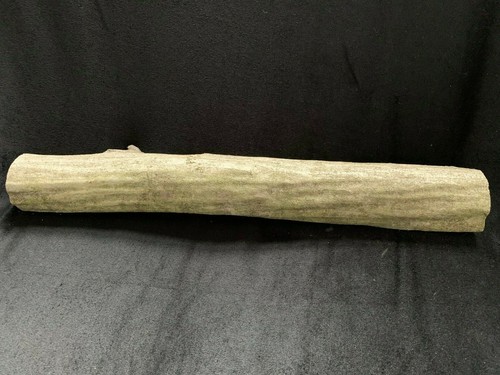 Tronco legno muscolare - tronco,