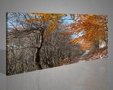 Quadro Paesaggio - Stampa