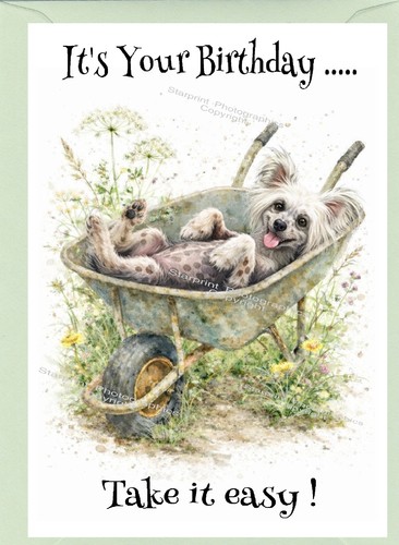 Biglietto compleanno cane - biglietto,