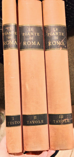 Piante roma 3 - 3, volumi