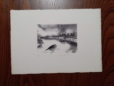 STAMPA  D'AUTORE NUMERATA "IL PETTIROSSO" 