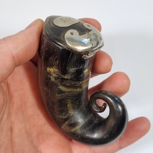 Antique 19thc scottish - scottish, horn