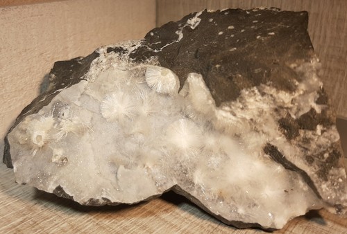 Natrolite aveyron france - natrolite,,