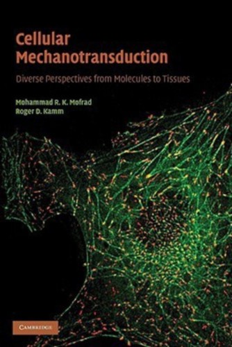 Cellular mechanotransduction - cellular,