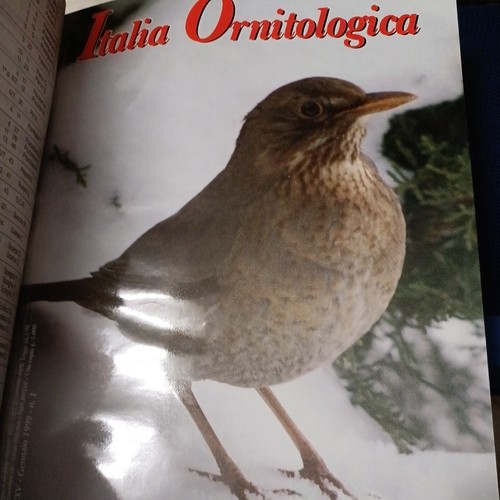 Italia ornitologica anno - , 1998