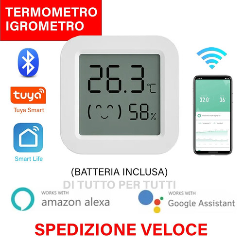 Termometro igrometro wireless - termometro,