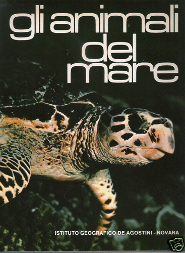 Animali del mare istituto - del, mare_istituto