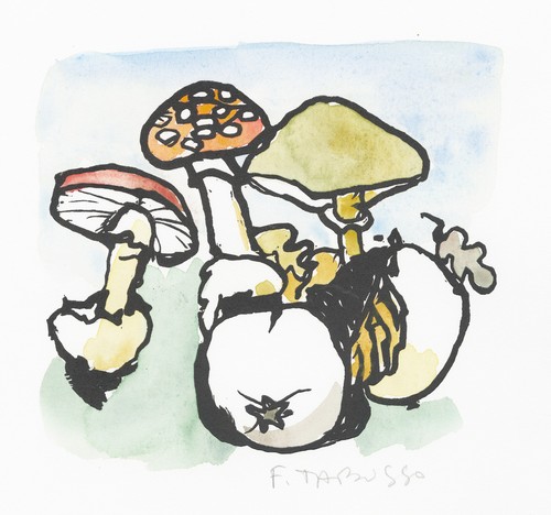 Tabusso francesco funghi - francesco, "funghi