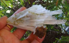 Campione Di Minerali Di